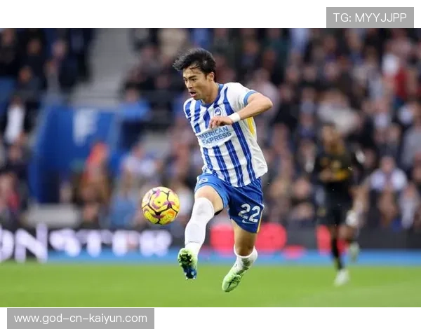 狼队门将扑救创造赛季亮点，狼队主力门将